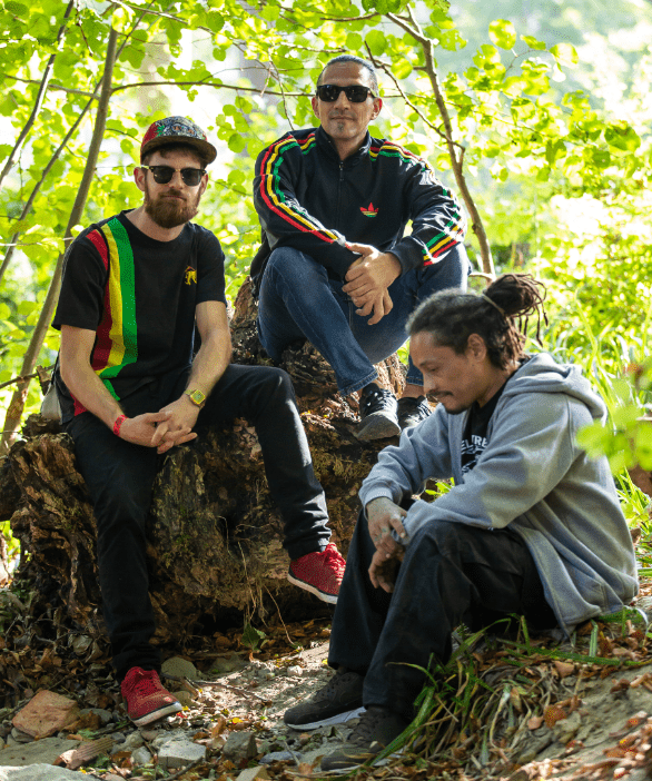 Elektrees
